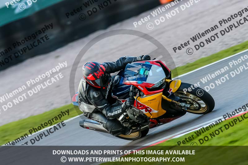 Oulton Park 20th March 2020;PJ Motorsport Photography 2020;anglesey;brands hatch;cadwell park;croft;donington park;enduro digital images;event digital images;eventdigitalimages;mallory;no limits;oulton park;peter wileman photography;racing digital images;silverstone;snetterton;trackday digital images;trackday photos;vmcc banbury run;welsh 2 day enduro